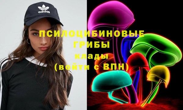 ГАЛЛЮЦИНОГЕННЫЕ ГРИБЫ Горно-Алтайск