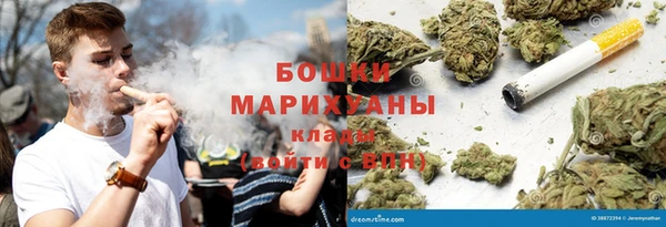 шишки Вязьма