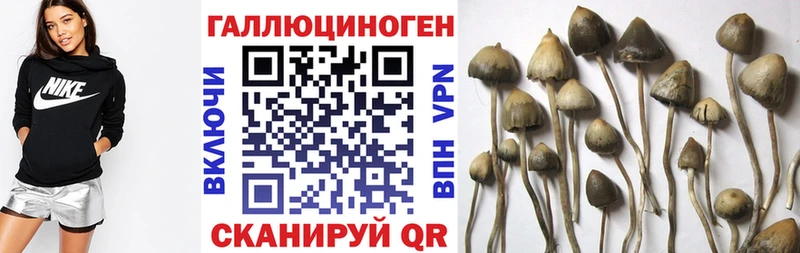 дарк нет формула  Бирюсинск  Псилоцибиновые грибы Magic Shrooms  наркотики 